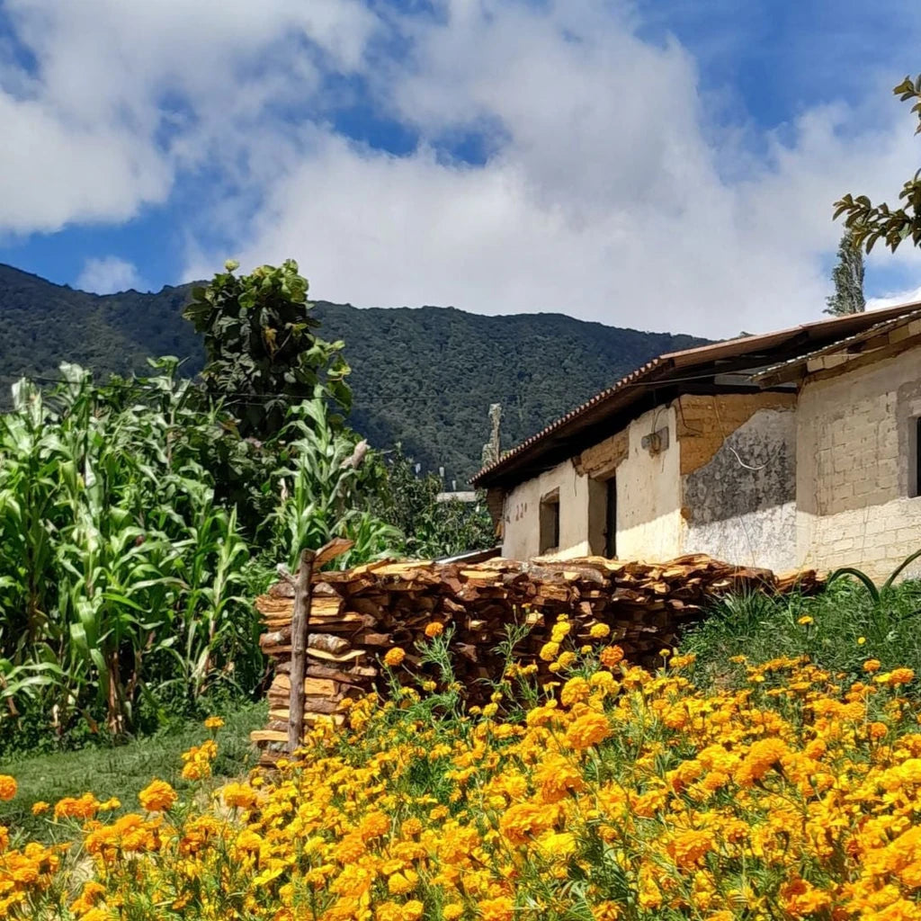 San Lucas Farm