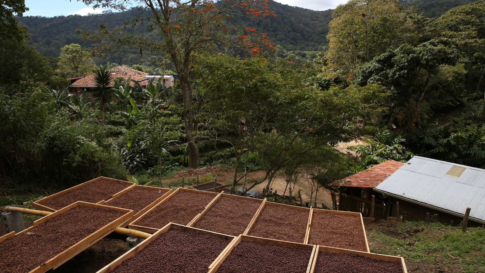 Santa Rita Dry Bed