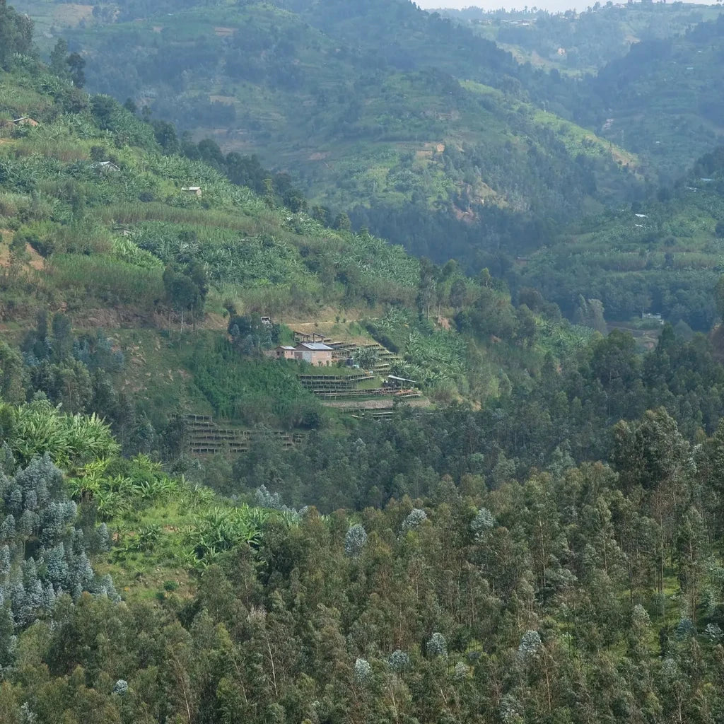 Shyira Farm