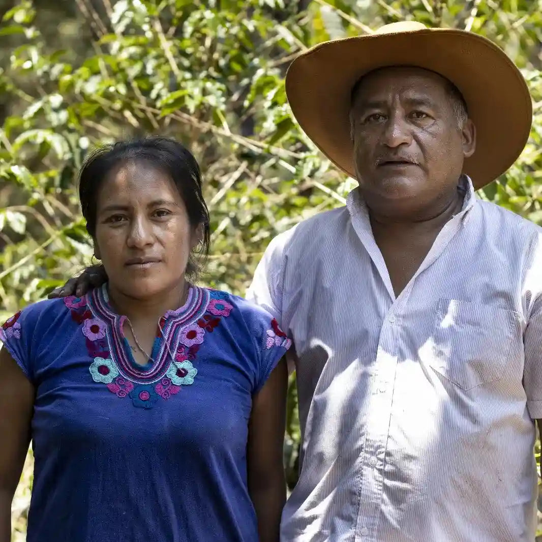 Familia Carranza, Filter aus Mexiko