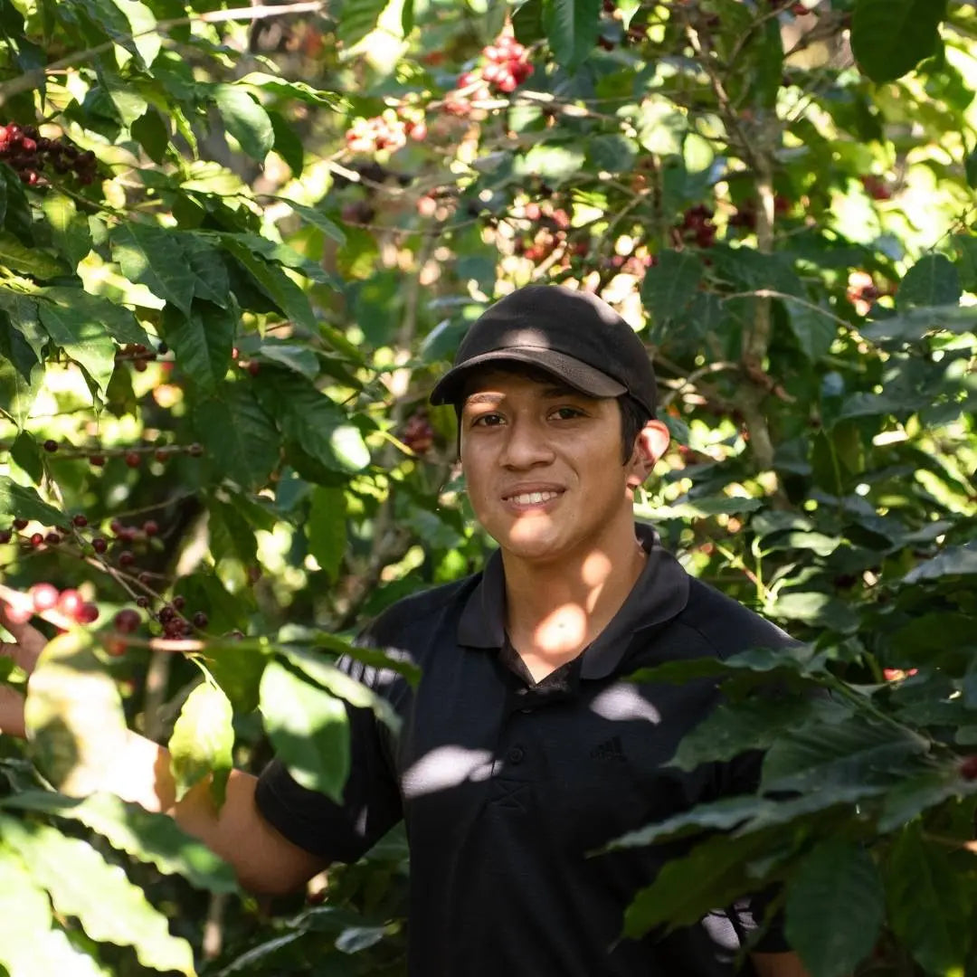 Carlos Amaya, Filterkaffee aus Honduras