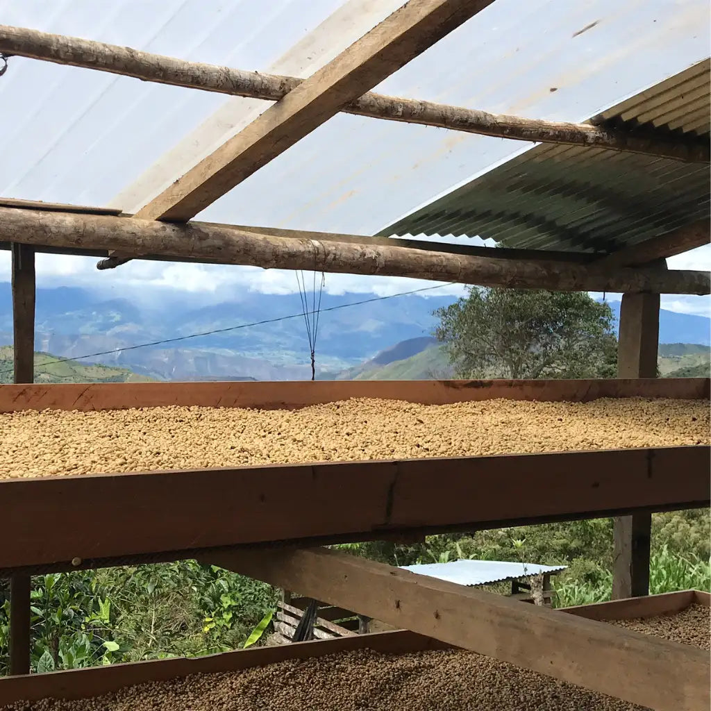 Chirinos, Espresso aus Peru