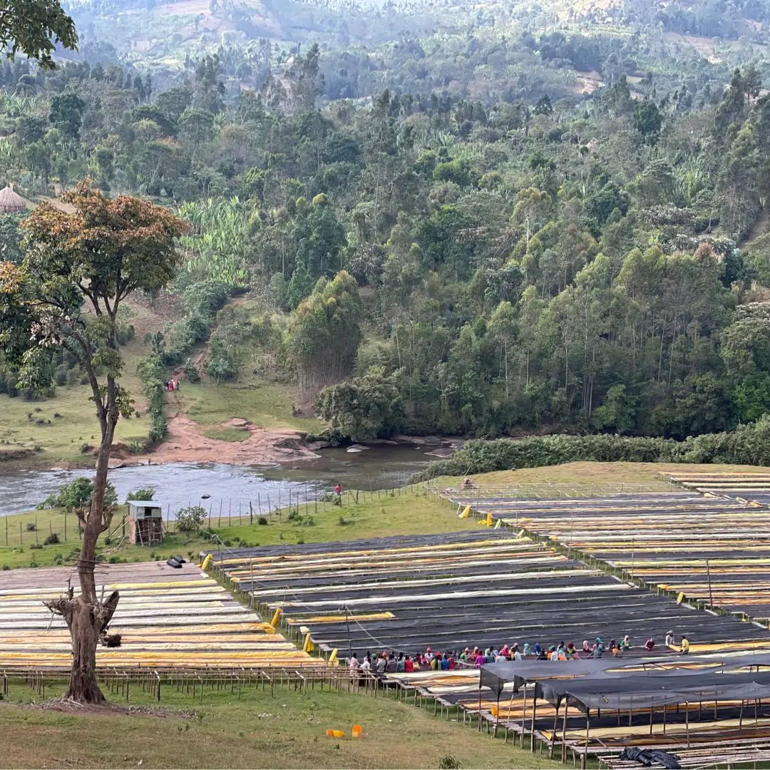 Washing Station Duwancho